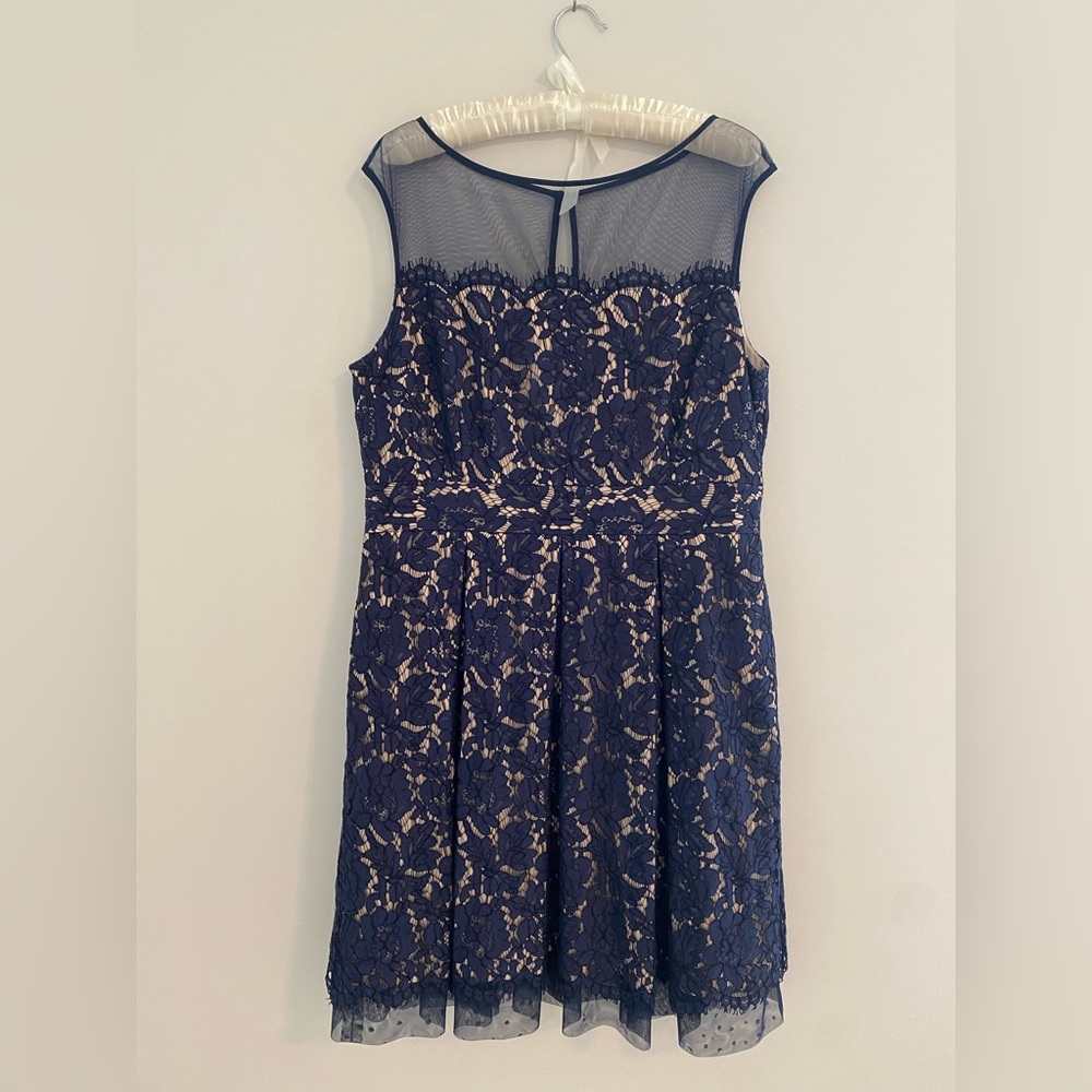 Eliza J blue and ivory lace dress